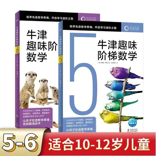 【全7册】牛津趣味阶梯数学K-6 商品图10