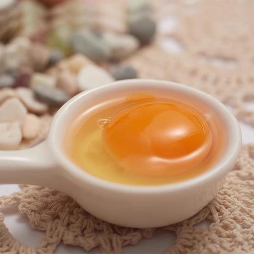 田园居AA级土鸡蛋40枚（泡沫箱包装防破损，收货后请及时取出保鲜储存） 商品图1