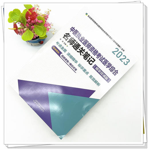 2023年中医执业医师资格考试名师通关笔记（精华背诵版） 徐雅 著  中国中医药出版社 商品图2