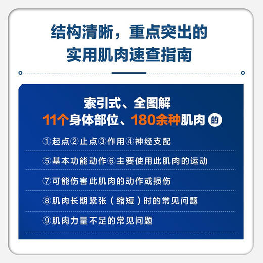 运动解剖学图谱 肌肉结构与功能全解第3版 克里斯·贾迈等 著 运动健身 商品图2