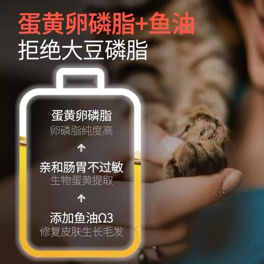 【美毛护肤套餐猫用】谷登卵磷脂鱼油颗粒300g*1罐+鱼油配方营养膏120g*1支 商品图3