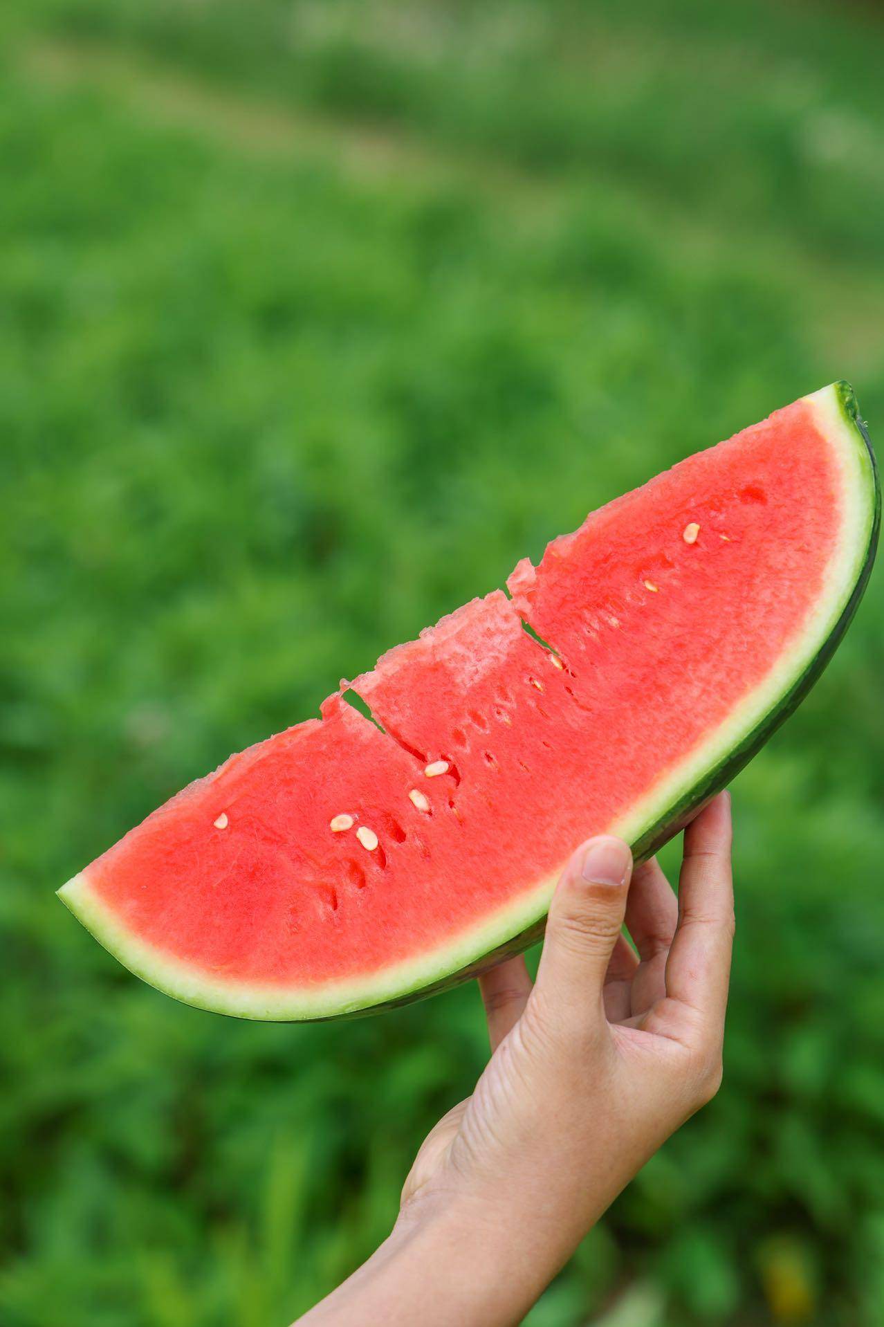 产地新鲜直发 【战神】甘美4k西瓜 6-10斤装