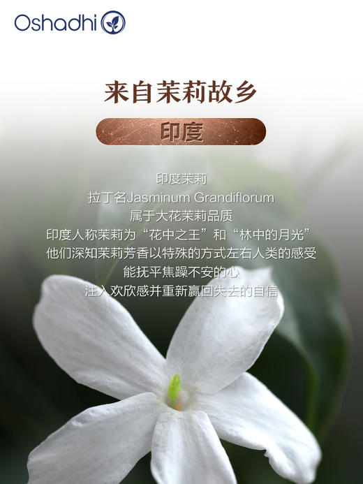 Oshadhi德国O家 茉莉纯露花水 干燥缺水肌 熟龄肌 花水爽肤水化妆水护肤品 商品图4