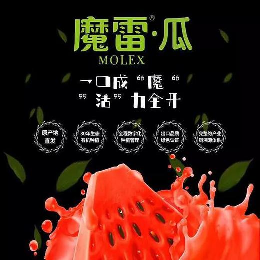 魔雷西瓜一箱（拼团） 商品图3