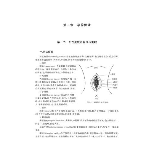 孕产期保健/普通高校新形态教材/盛少琴/配教学微视频/微电影/浙江大学出版社 商品图4