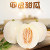【现摘现发！陕西阎良甜瓜】清甜如蜜，脆甜多汁，一口清香，满口甜蜜，个头饱满，新鲜香瓜高甜度水果新鲜当季头茬白甜香瓜非黄河蜜健康 商品缩略图0