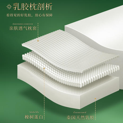 TAIHI泰嗨 泰象吉祥狼牙枕/波浪枕 商品图4