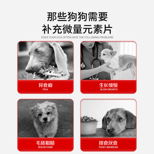 套餐【异食黄金搭档套餐】微量元素片400片+狗六种菌8袋 商品图1