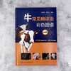 牛常见病诊治彩色图谱（含视频） 商品缩略图5