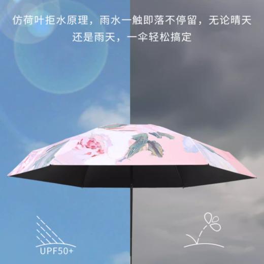 晴雨两用五折油画伞太阳伞 黑胶口袋伞【234-21】 商品图2