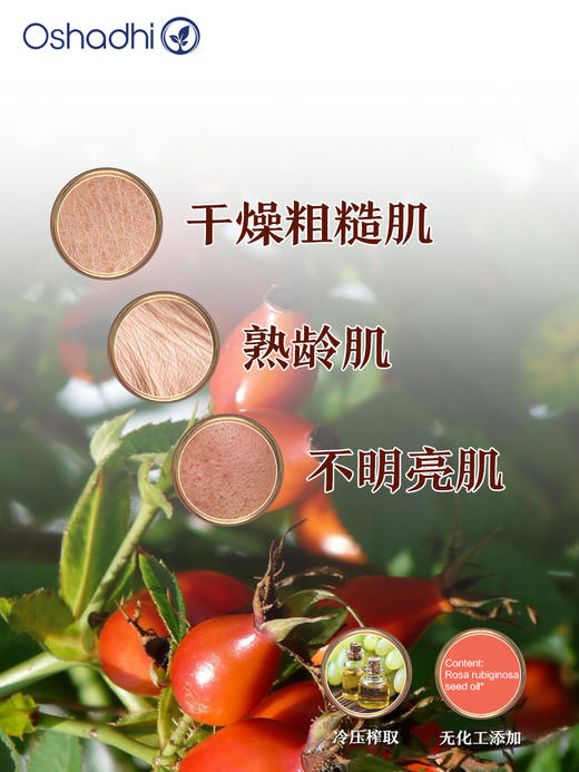 德国O家玫瑰籽油玫瑰果油  身体按摩油基础油基底油抗皱 商品图1