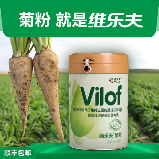 维乐夫菊粉 菊苣根提取益生元 水溶性膳食纤维  300g/桶 商品图2