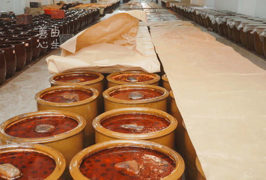 梅子根咸鸭蛋 商品图2