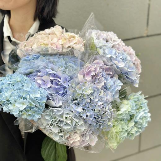 【买买买】橙色梦想亚百合8-10朵+粉池金鱼重瓣大芍药5支+香槟色睡莲3支+稀有色小绣球1支+樱花粉单头康乃馨5支+紫色睡莲2支/份 商品图1