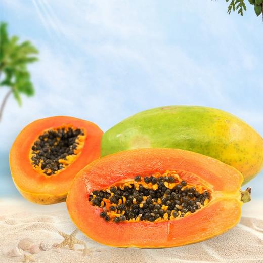 【水润香甜！广西红心木瓜】味甜多汁，口感柔软，肉质饱满，红心木瓜，营养又美味，新鲜当季冰糖心红肉牛奶木瓜甜糯热带水果健康 商品图3