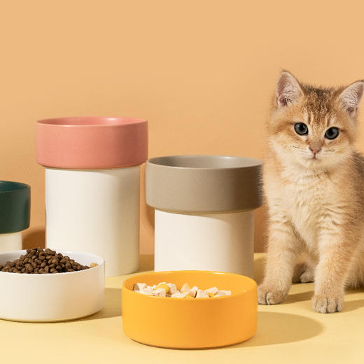 宠物陶瓷碗 釉面哑光猫碗狗碗13cm*5cm 厚重防打翻 宠物食具批发 商品图1