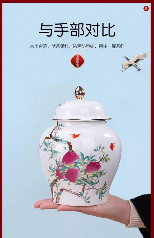 将军罐4号 商品图3