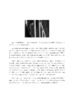 《黄河王瑟扬琴作品集》一套25本（现货发售） 商品缩略图4