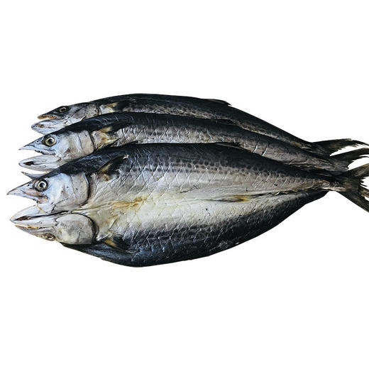 干鲅鱼 咸鲅鱼干 400g/袋 海鱼 咸鱼 干水产品 海产 去头 去内脏 包邮 商品图1