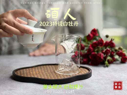 【2023春茶】2023牡丹王，今年它剥了叶子就是白毫银针，等级太“高”了 商品图11