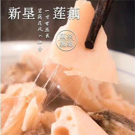 南沙新垦莲藕（真空装） 商品图0