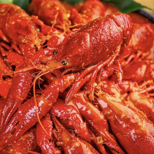 小龙虾 麻辣/蒜蓉/十三香 1.5斤/份 商品图2
