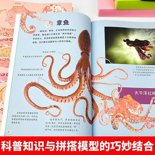 生日礼物3-12岁3D立体拼搭手工书儿童科普书亲子儿童春节新年礼物 商品图4