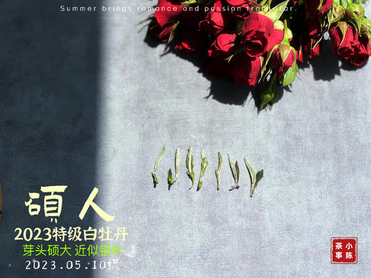 【2023春茶】2023牡丹王，今年它剥了叶子就是白毫银针，等级太“高”了 商品图2