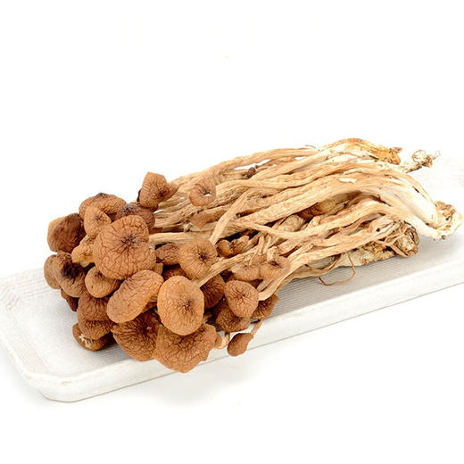茶树菇 250g/袋 菌菇 干货  口感鲜嫩 包邮 商品图3