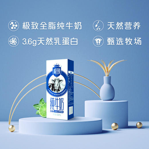 三元（SAN YUAN） 极致全脂纯牛奶生牛乳蛋白质3.6g常温早餐奶250ml*12盒礼盒 极致全脂纯牛奶 商品图5