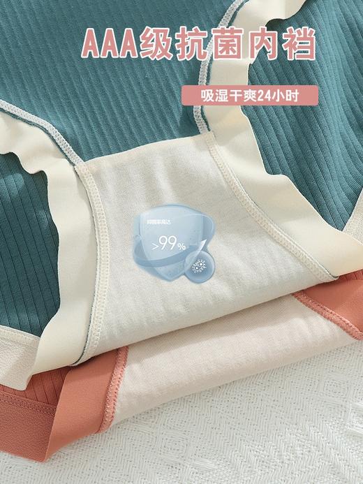 【5条装】芳妮诗2023年新款纯棉高腰内裤三角裤777#（豆沙-墨绿-柔黄-香槟-卡其） 商品图5
