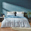 罗莱（LUOLAI） 四件套纯棉床单被罩枕套全棉床上TG单双人四季简约悦动人生 200*230cm 商品缩略图0