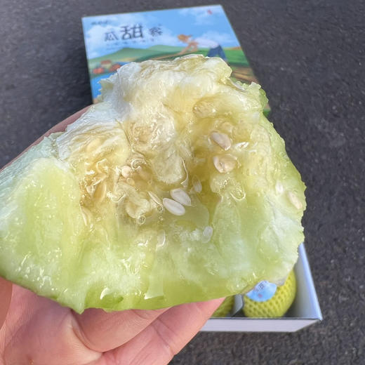 马连庄甜瓜 商品图3