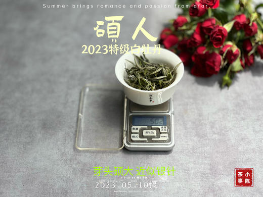 【2023春茶】2023牡丹王，今年它剥了叶子就是白毫银针，等级太“高”了 商品图8