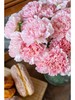 【买买买】橙色梦想亚百合8-10朵+粉池金鱼重瓣大芍药5支+香槟色睡莲3支+稀有色小绣球1支+樱花粉单头康乃馨5支+紫色睡莲2支/份 商品缩略图4