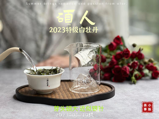 【2023春茶】2023牡丹王，今年它剥了叶子就是白毫银针，等级太“高”了 商品图10