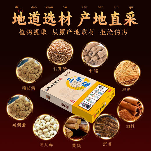 下单即送彩页！【艾草三伏贴 冬病夏治】 湖北李时珍三伏贴 艾草温灸贴穴位贴三伏天黑膏贴 30贴/盒 商品图2