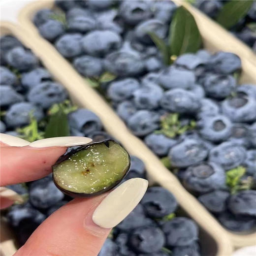 限量版怡颗莓新鲜采摘礼盒蓝莓125g*12盒 商品图9