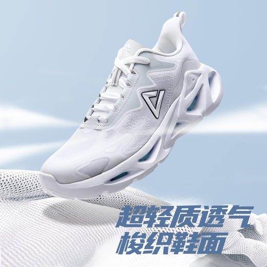 匹克风洞2.0跑步鞋男23夏季新款透气运动鞋男缓震跑鞋休闲慢跑鞋DH320091 商品图0