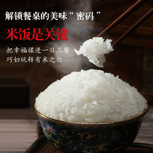 龙凤河 有机五常大米东北大米当季新米五常大米员工福利礼盒装5kg/10斤 商品图3
