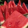 甘美西瓜（5.5–6.5斤） 商品缩略图2
