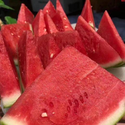 甘美西瓜（5.5–6.5斤） 商品图2