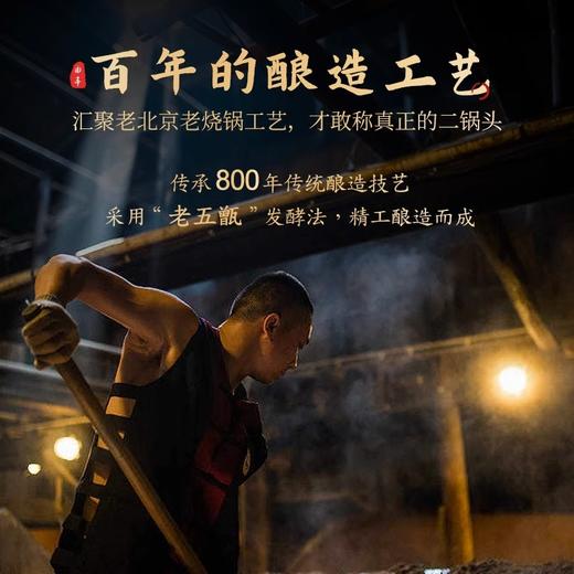 北京二锅头出口型小方瓶46度大金狗1.5L大瓶装清香型白酒 商品图3