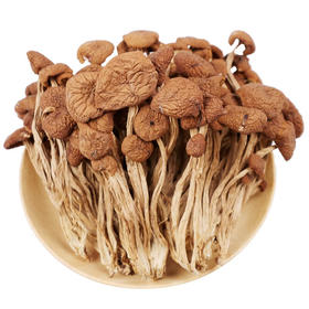 茶树菇 250g/袋 菌菇 干货  口感鲜嫩 包邮