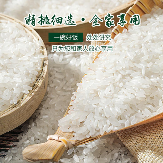 龙凤河 有机五常大米东北大米当季新米五常大米员工福利礼盒装5kg/10斤 商品图1