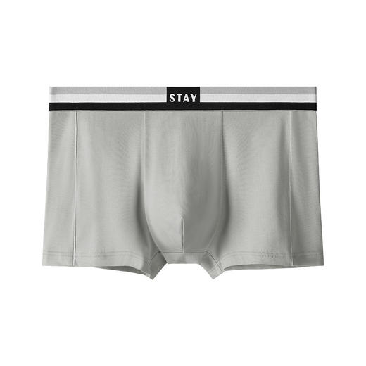 柔软吸湿透气日系风【无侧缝质感爆款】 奶油新款莫代尔纯色无痕男士内裤多色中腰透气四角裤平角裤男 商品图7