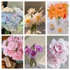 【买买买】橙色梦想亚百合8-10朵+粉池金鱼重瓣大芍药5支+香槟色睡莲3支+稀有色小绣球1支+樱花粉单头康乃馨5支+紫色睡莲2支/份 商品缩略图0