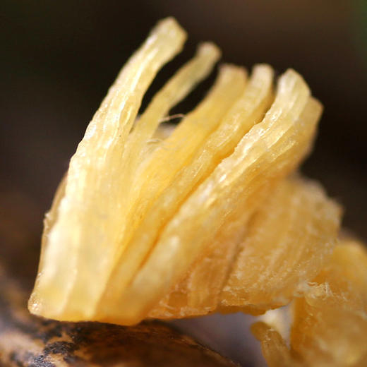 淡干 干贝丁250g 干货 扇贝丁 瑶柱 海产品 包邮 商品图1