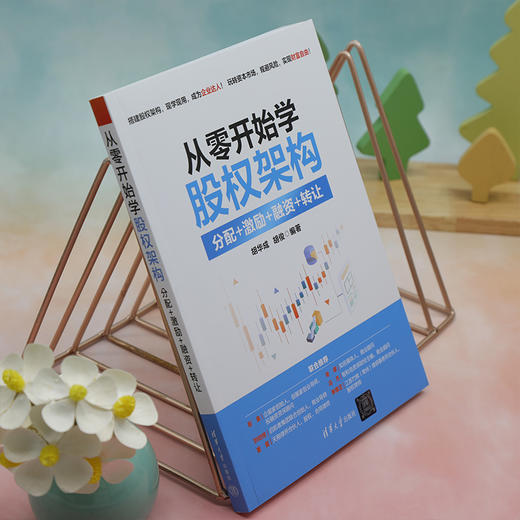 从零开始学股权架构 分配+激励+融资+转让 商品图2