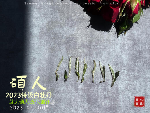 【2023春茶】2023牡丹王，今年它剥了叶子就是白毫银针，等级太“高”了 商品图3
